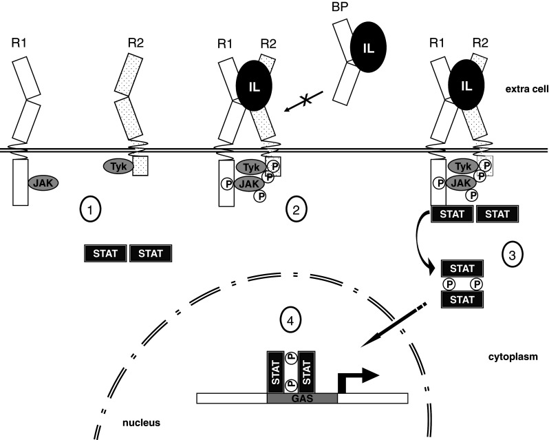 Fig. 3