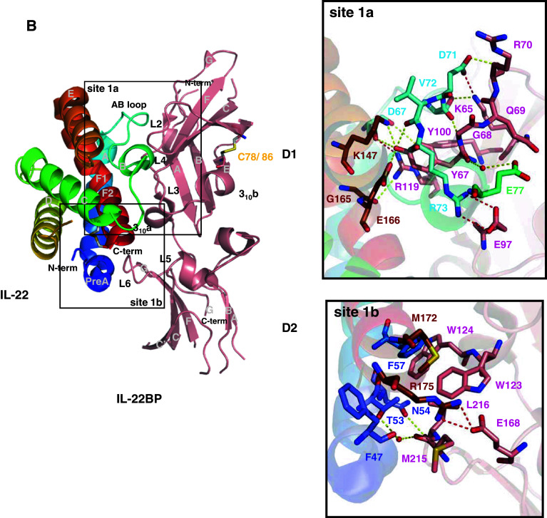 Fig. 4