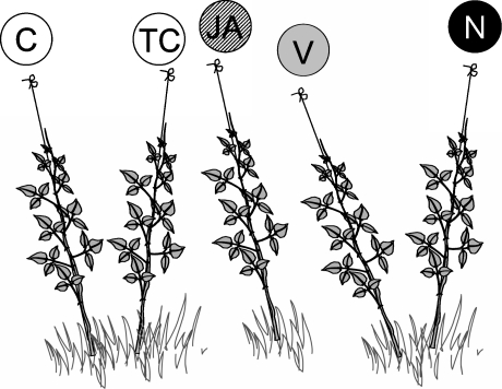 Fig. 1