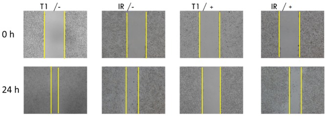 Figure 5.