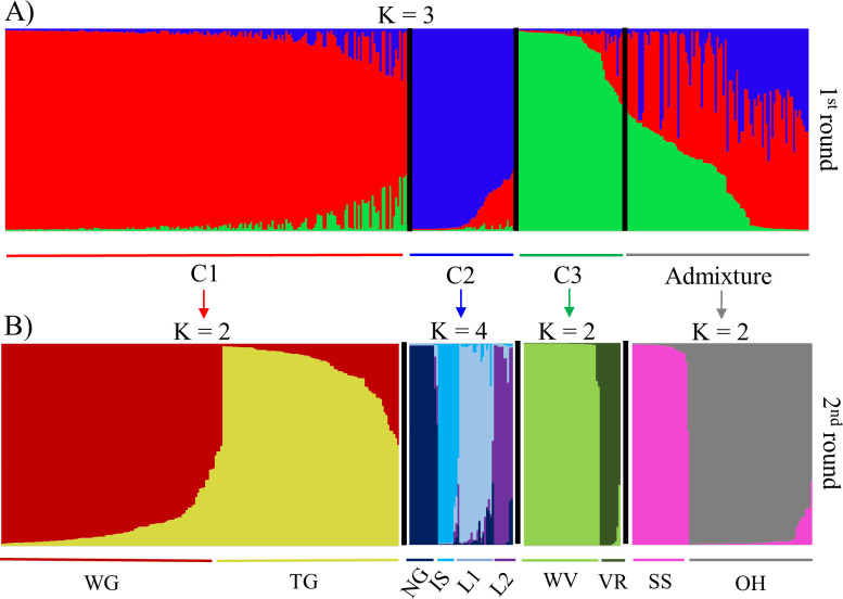 Fig 2