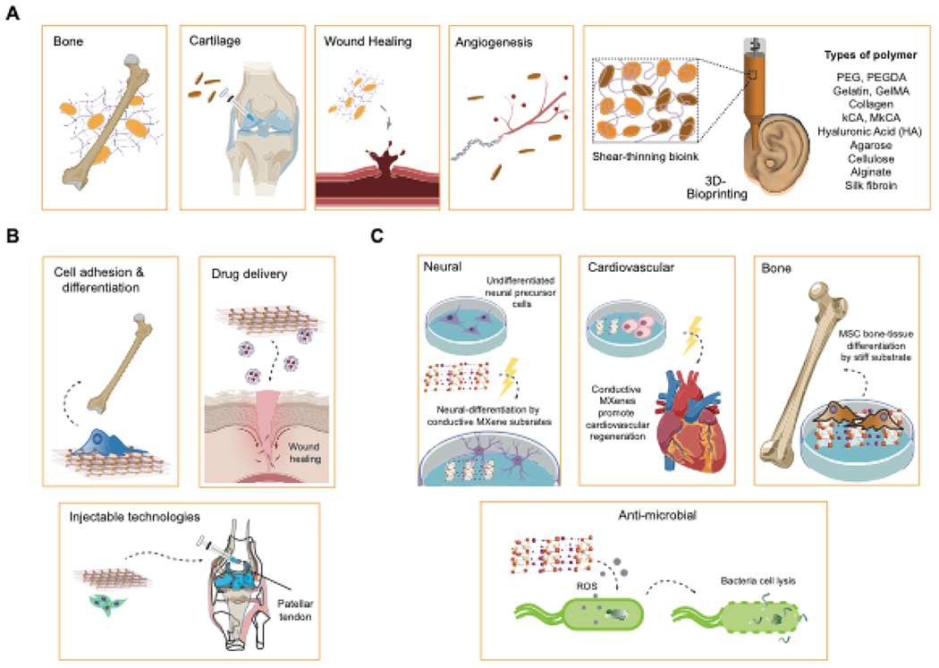 Figure 6.