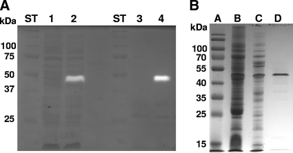 FIG. 2.