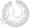 Fig 5