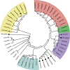 Fig 10
