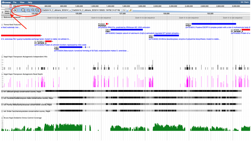 Figure 3A