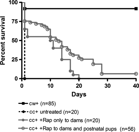 Figure 1.