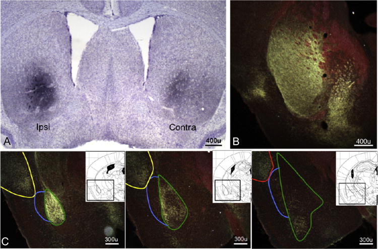 Fig. 3