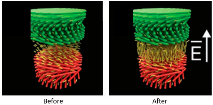 Figure 13