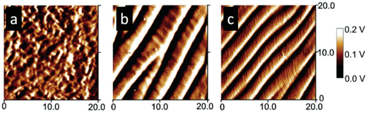 Figure 21