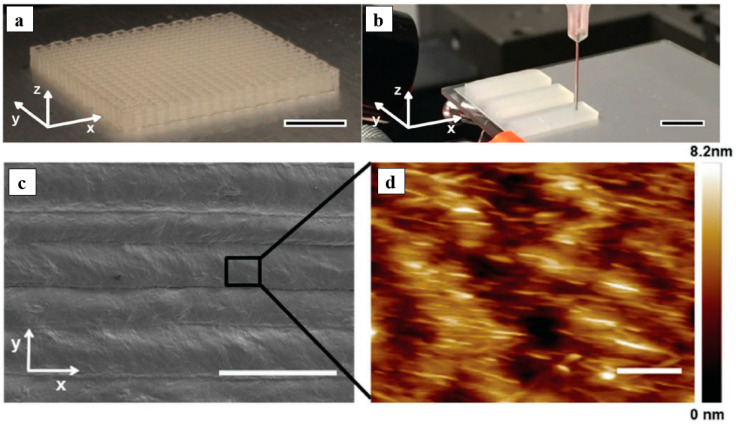 Figure 19