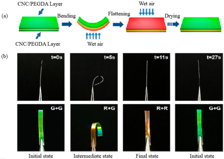 Figure 18