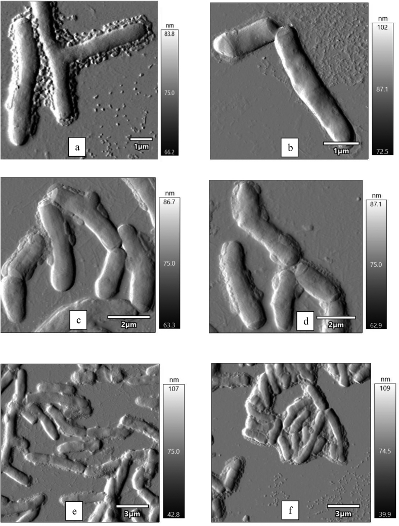 Figure 5