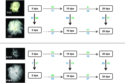 Figure 1.—