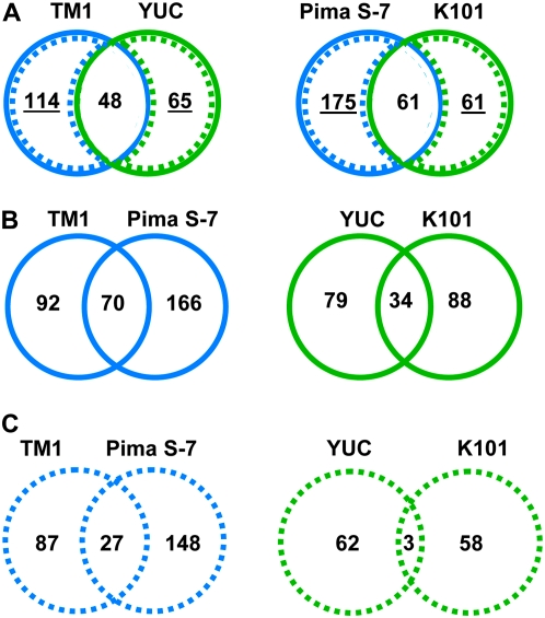 Figure 2.—