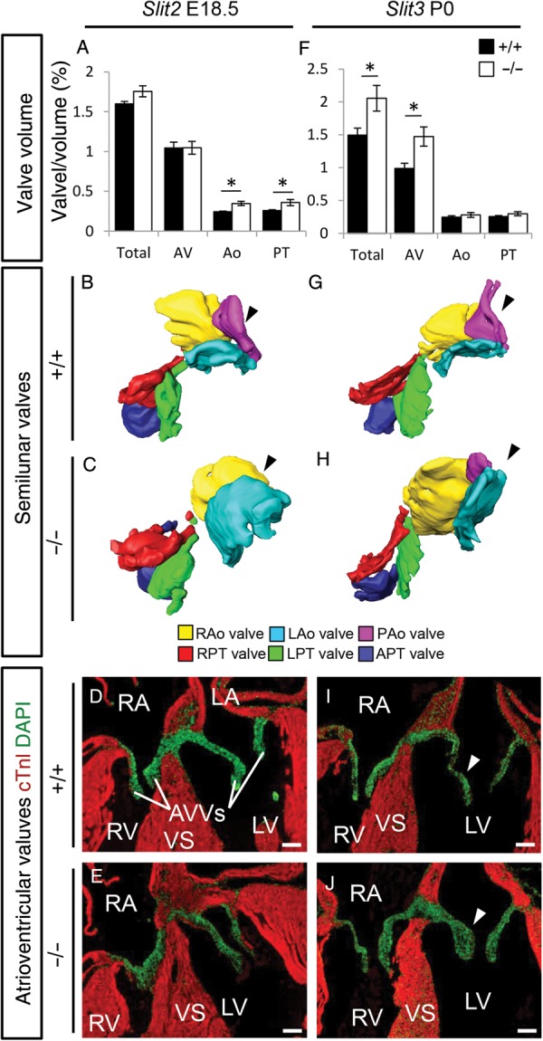 Figure 5