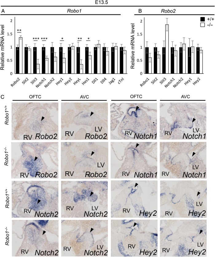 Figure 6