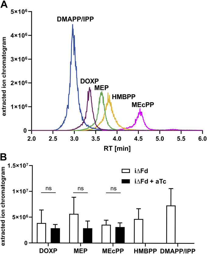 Figure 5