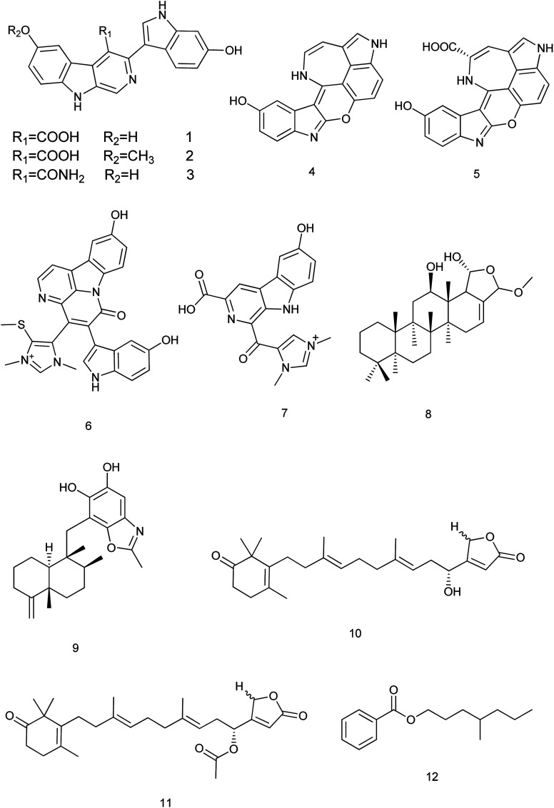 Fig. 2