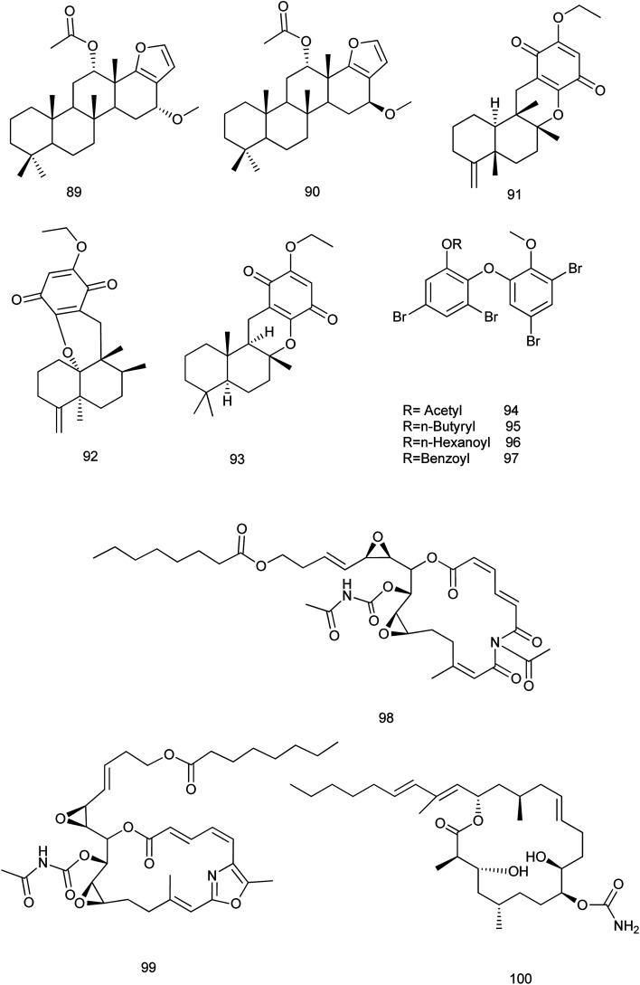 Fig. 10