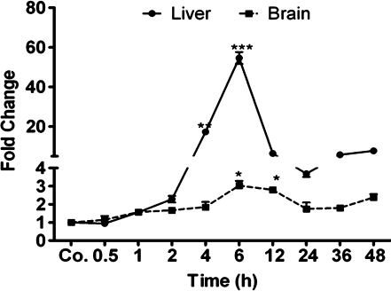 Fig. 7