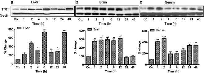 Fig. 4