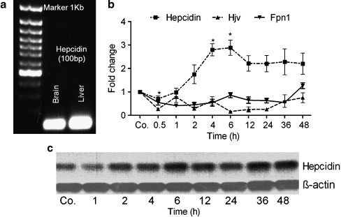 Fig. 6