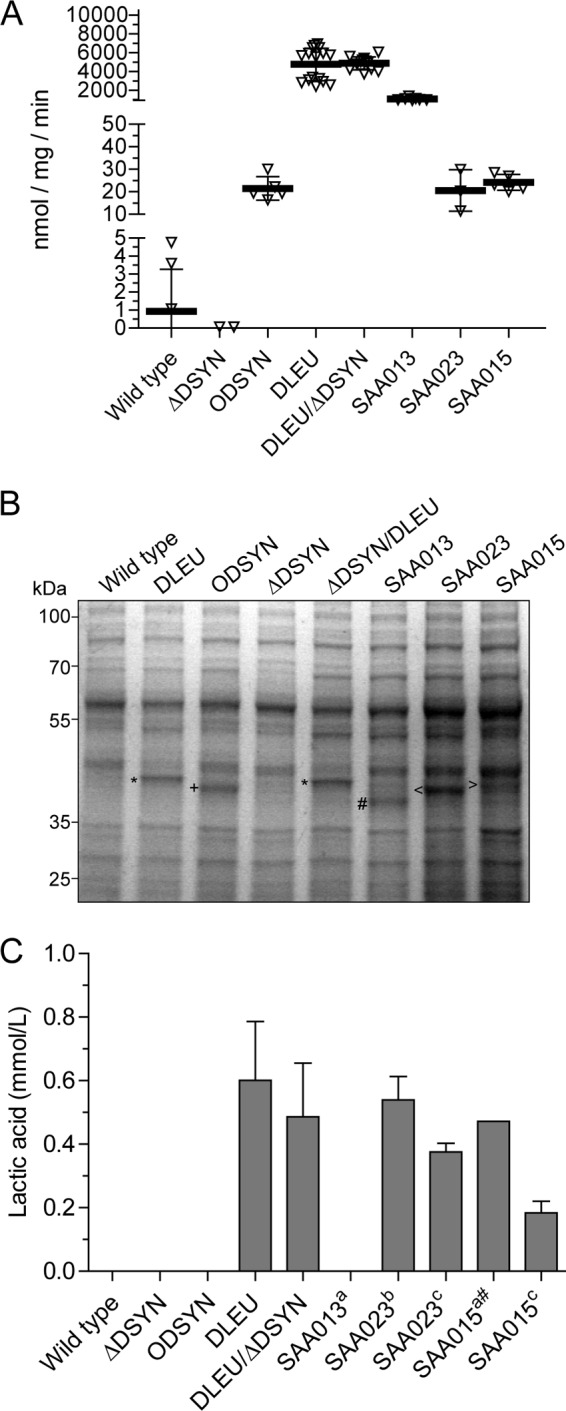 FIG 2