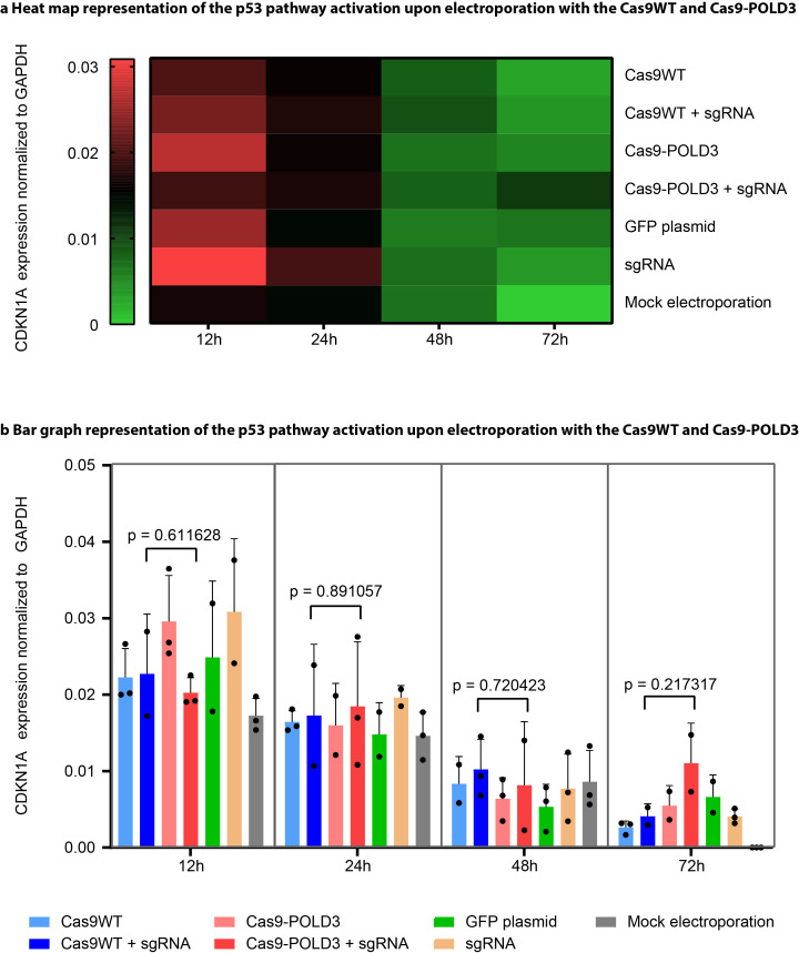 Figure 5—figure supplement 1.