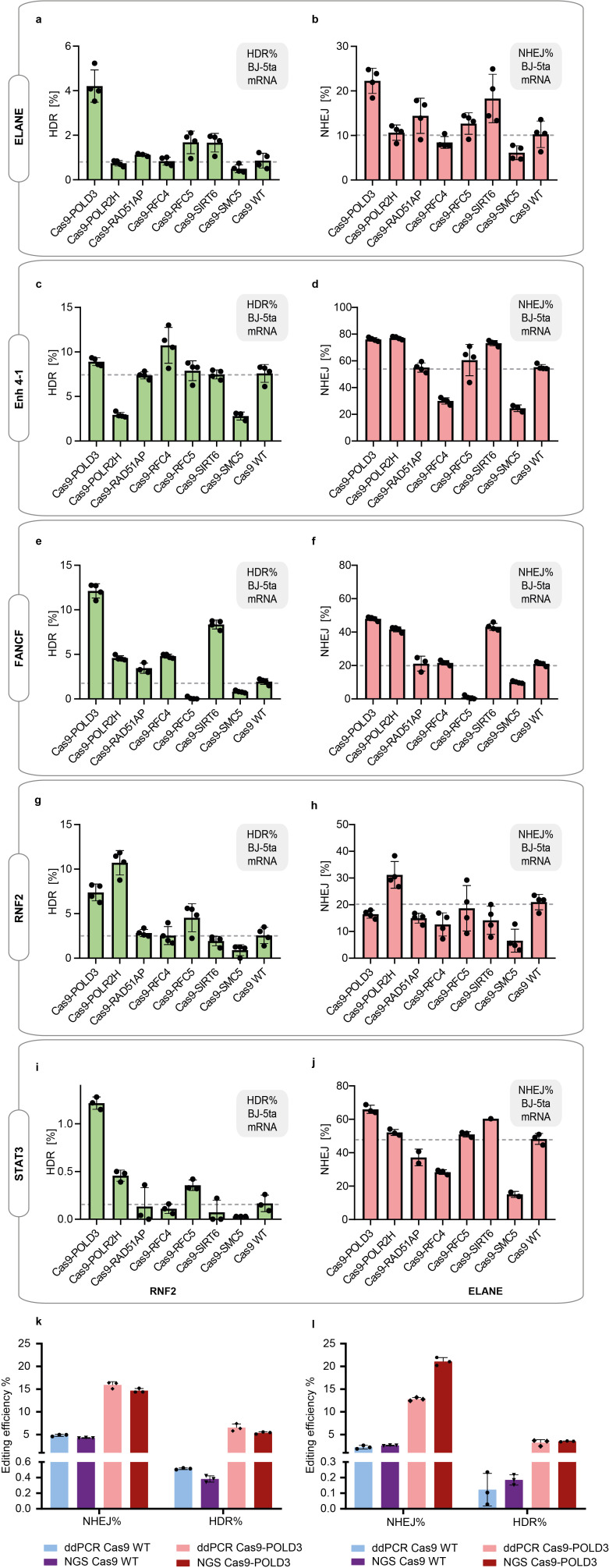 Figure 2—figure supplement 1.