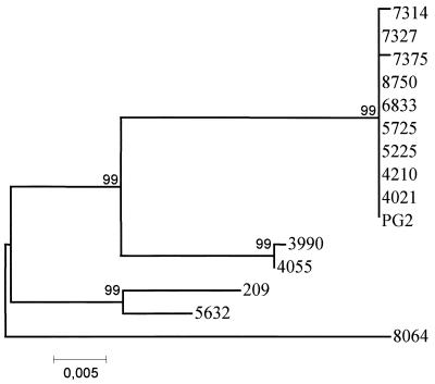 FIG. 4