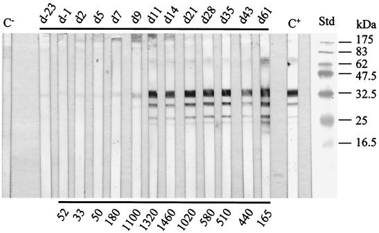 FIG. 5