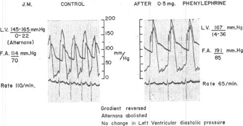 Fig. 16