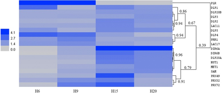 Fig. 4