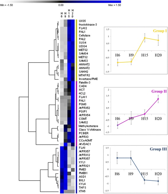 Fig. 6