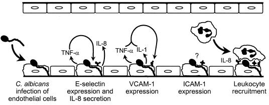 FIG. 6