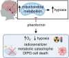 Graphical Abstract
