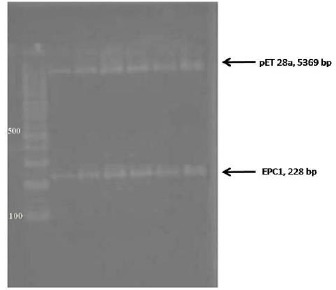 Fig. 2: