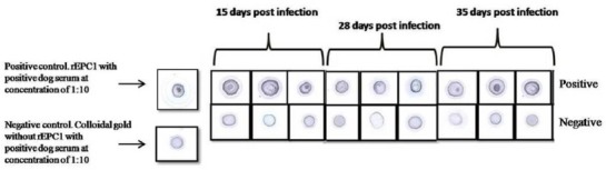 Fig. 6: