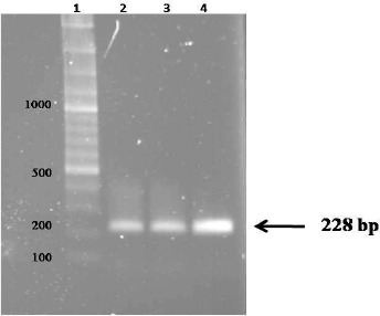 Fig. 1: