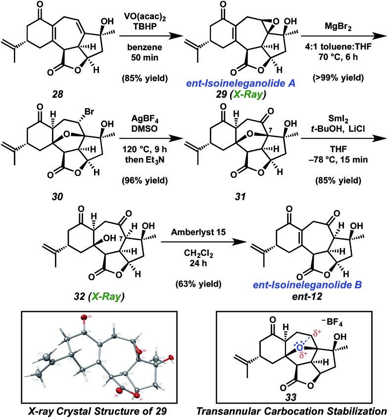 Scheme 5