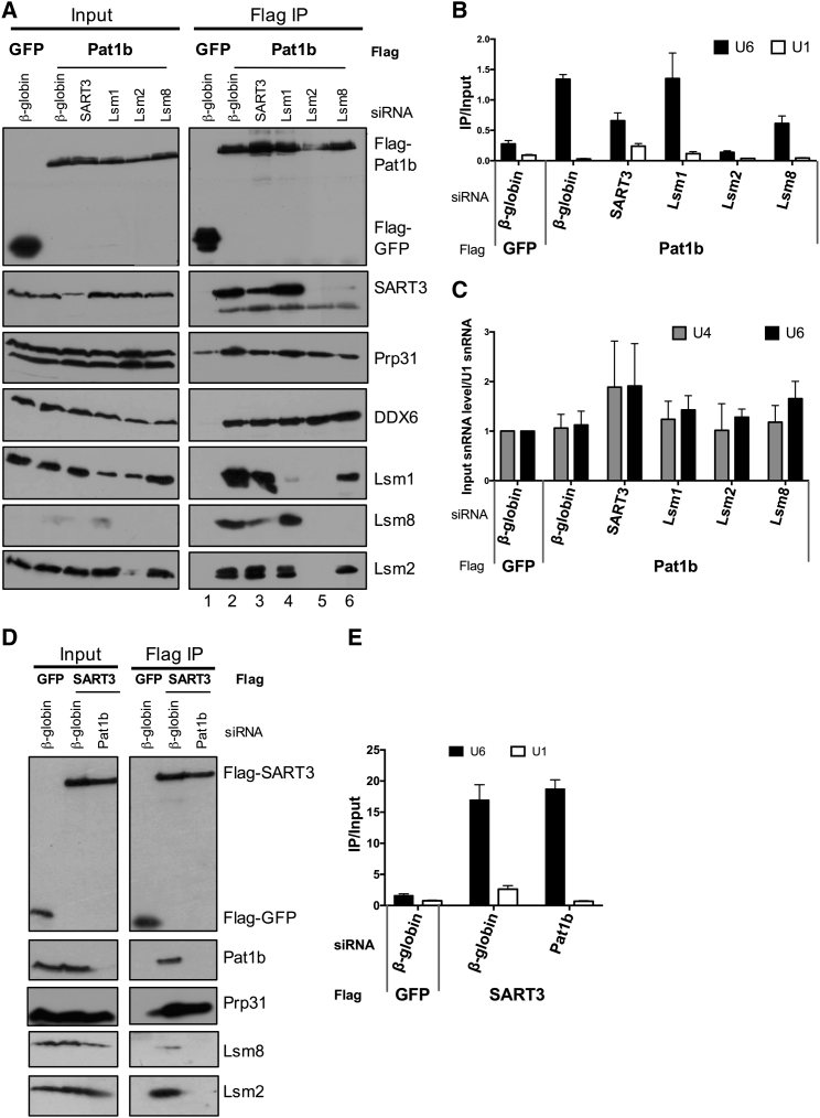 Figure 3