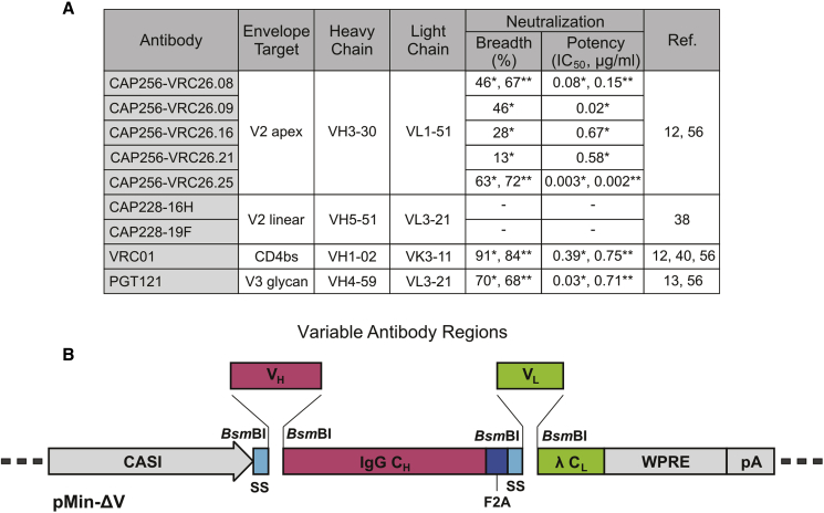 Figure 1