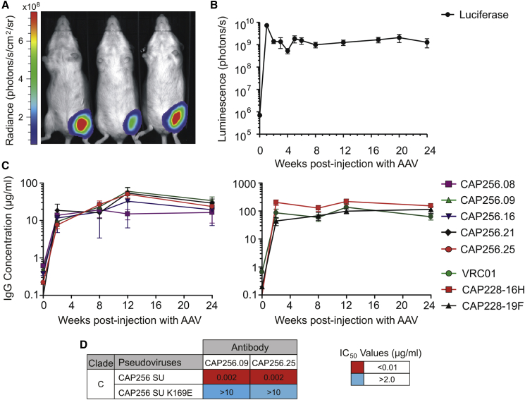 Figure 4