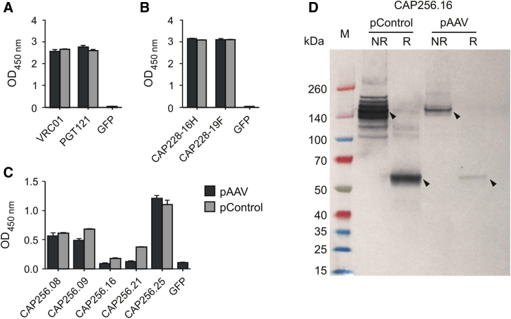 Figure 2