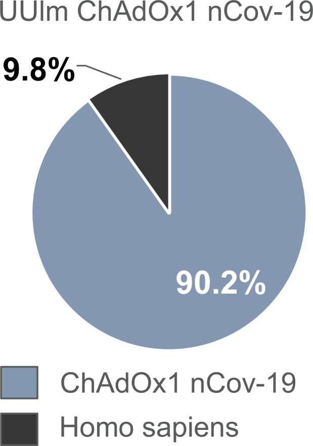 Figure 4—figure supplement 1.