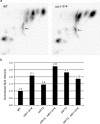 FIG. 6.