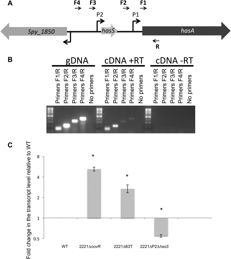 FIG 6