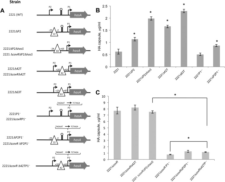 FIG 2