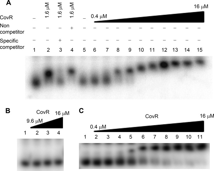 FIG 5